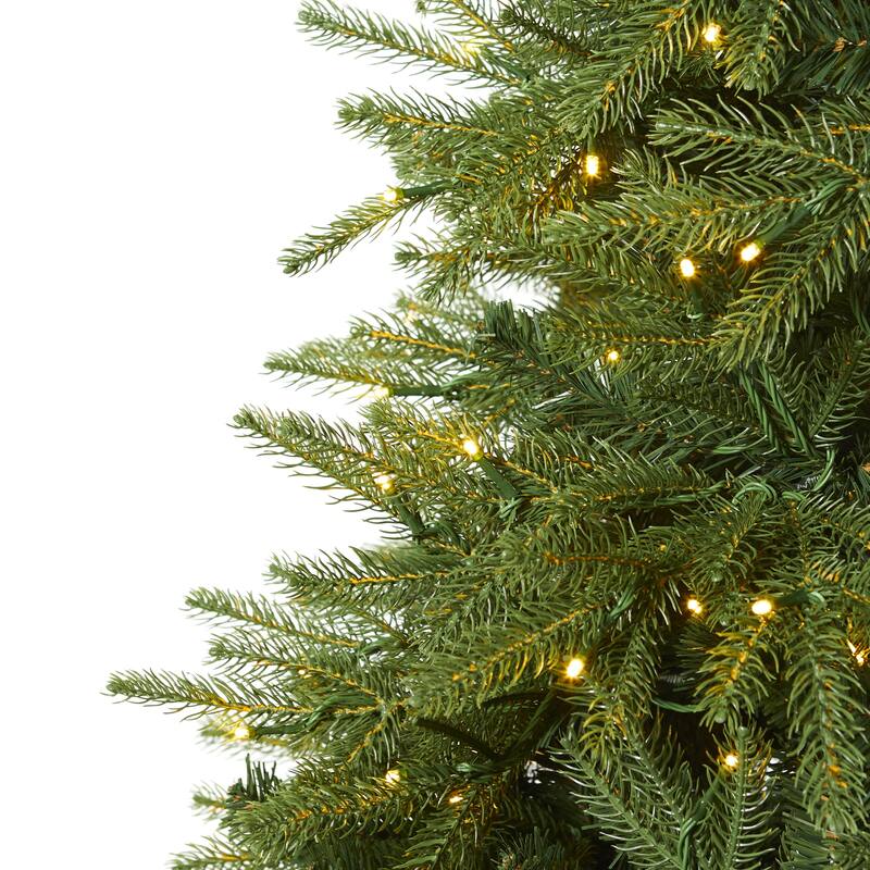 7' Pre-Lit Vancouver Fir Artificial Christmas Tree, Clear LED Lights - 7 Foot
