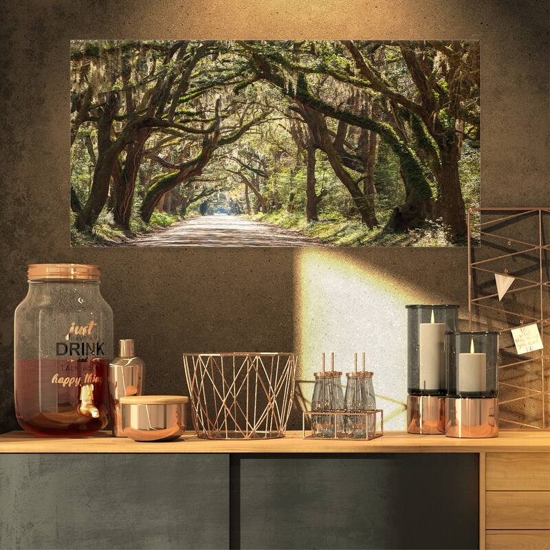 Designart "Trees Tunnel in Botany Bay" Landscape Print Wall Art - 32 in. wide x 16 in. high - 1 Panel