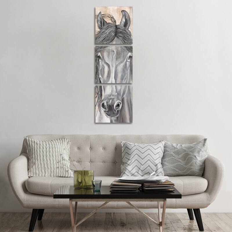 iCanvas "'Neigh'tural Beauty" by Diane Fifer 3-Piece Canvas Wall Art Set - 60x20x1.5