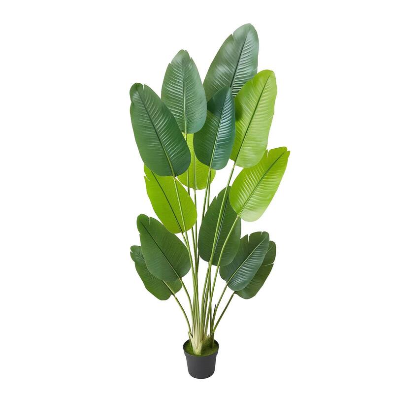 6ft Faux Bird of Paradise Tree with Sturdy PE Material and Moss Pot for Indoor Decorative Plant - 23.62 x 15.75 x 74.8 inch