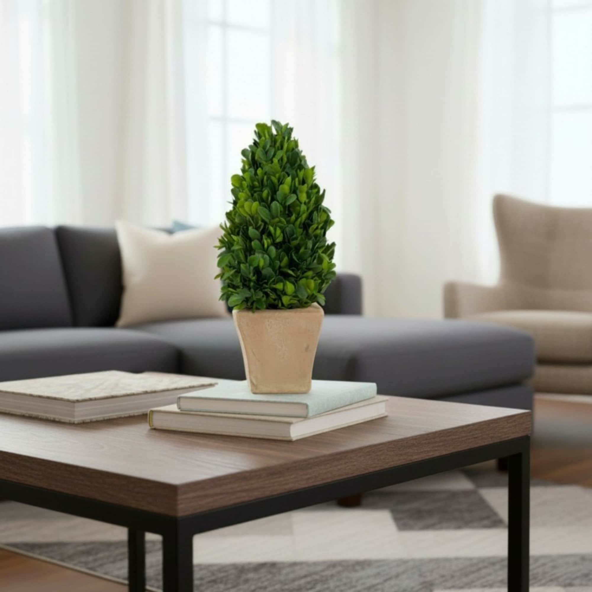 Evergreen 12-Inch Handcrafted Preserved Cone-Shaped Boxwood Leaf Topiary in Terracotta Pot