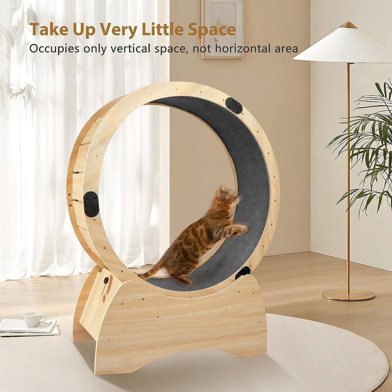 38.9'' Cat Wheel Exerciser for Indoor Cats - 38.9''