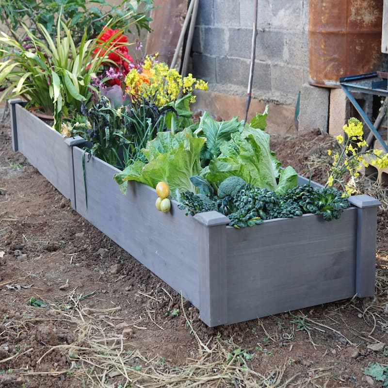 Large Wooden Raised Garden Bed for Outdoor Gardening Solid Wood Planter Box 8x2 ft for Vegetables Herbs - 96" x 28" x 10"