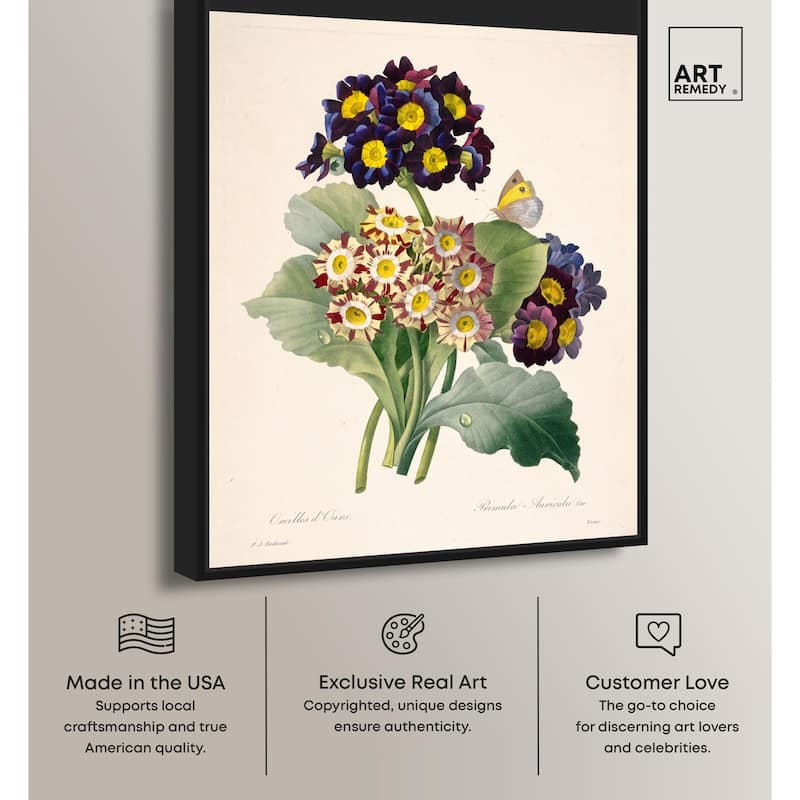 Auricula Varieties Canvas by Art Remedy