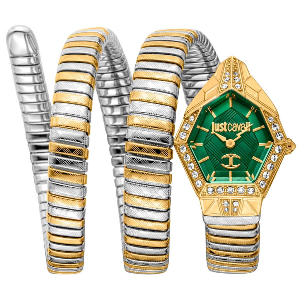 Just Cavalli Women's Mesmerizing Green Dial Watch - JC1L304M0065 - 6 (36)
