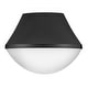 preview thumbnail 1 of 9, Lark 83411 Haddie 11" Wide Flush Mount Bowl Ceiling Fixture with Case Black