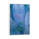 preview thumbnail 2 of 7, iCanvas "Agave And Parry's Penstemon Close Up, North America I" by Tim Fitzharris Framed Canvas Print White - 26x18