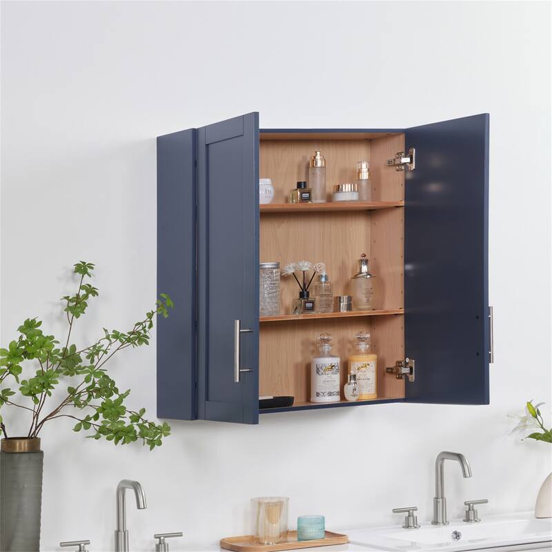 Elegant Wall-Mounted Cabinet with Adjustable Doors