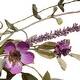 preview thumbnail 4 of 2, National Tree Company 20 inch Artificial Spring Wreath with Purple Daisy Blooms, Lavender Flowers, and Leafy Greens,