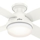 preview thumbnail 8 of 21, Hunter 44" Dempsey Low Profile Outdoor Ceiling Fan with LED Light Kit and Handheld Remote, Damp Rated, Contemporary, Industrial
