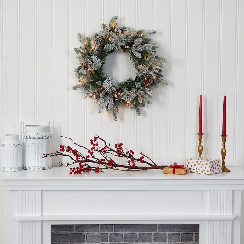 20" Flocked Mixed Pine Christmas Wreath with 50 LED Lights