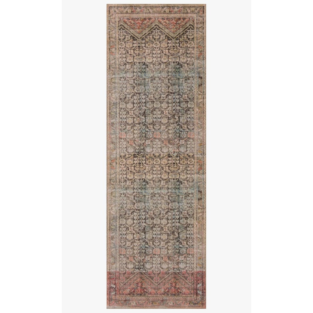 Alexander Home Tremezzina Printed Geometric Botanical Distressed Rug
