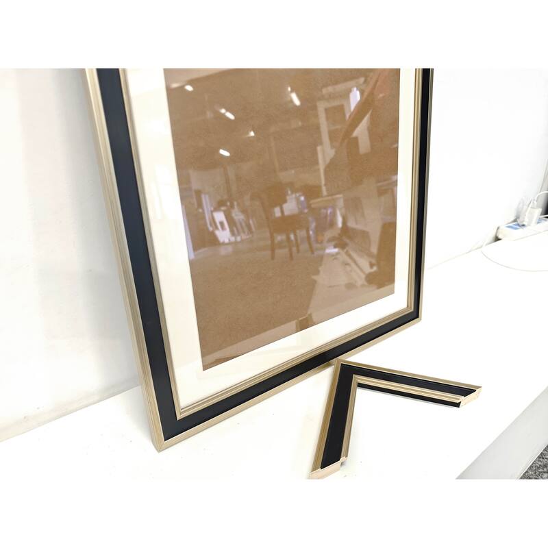 Solid Wood Picture Frame - Replaceable Canvas Art Frame with Organic Glass, Elegant Framed Wall Decor for Living Room