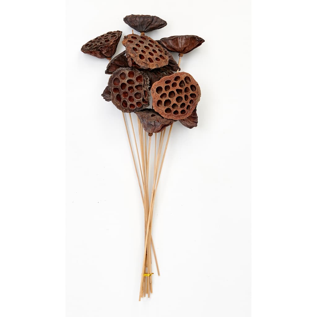 17" Large Natural Lotus Stem - 17