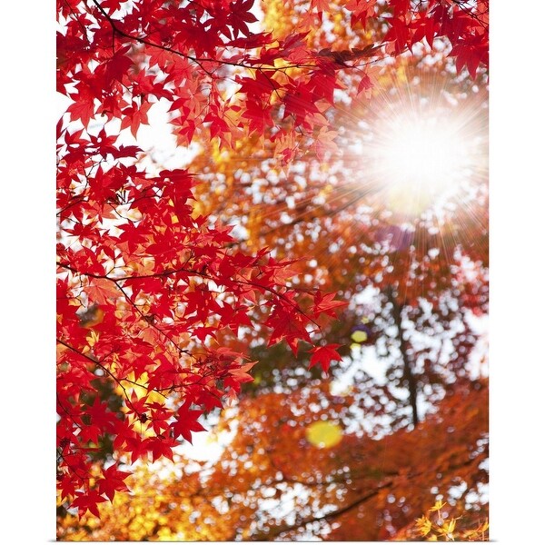 "Autumnal Leaves" Poster Print
