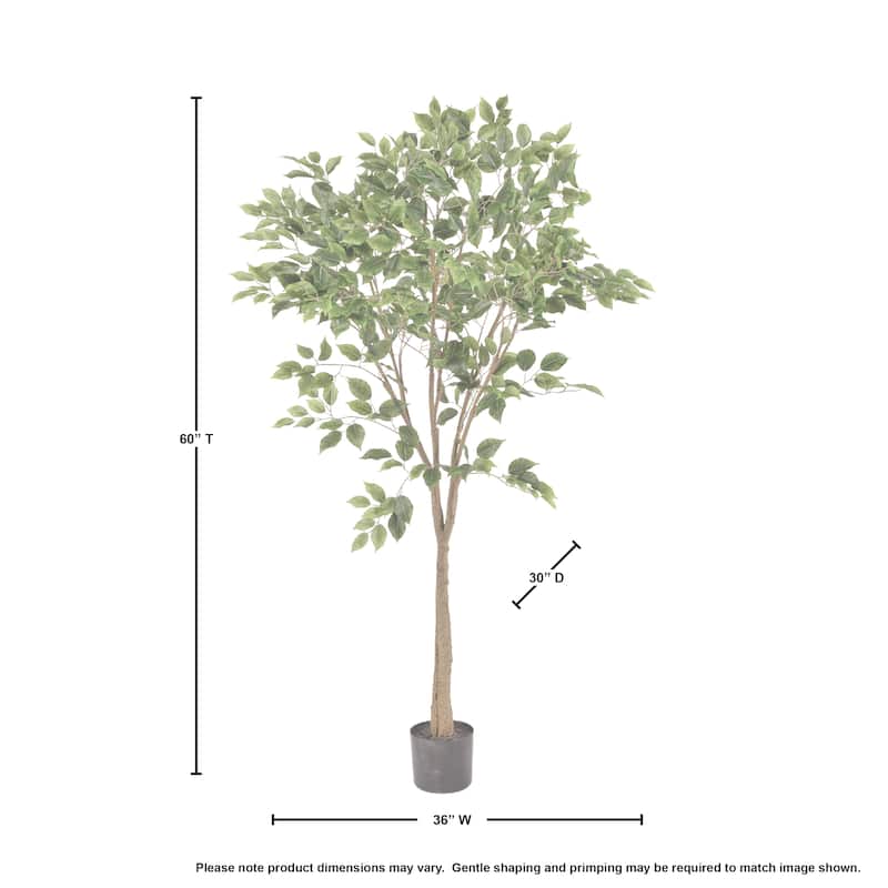 Potted Uv Treated Ficus Tree 5'
