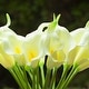 preview thumbnail 8 of 13, Enova Home 20 Pieces Real Touch Faux Calla Lily Artificial Flowers in Vase with Faux Water for Dining Table Decor, Wedding Event