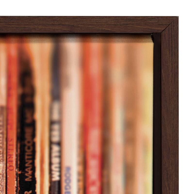 Kate and Laurel Sylvie Record Sleeves Framed Canvas by Robert Cadloff