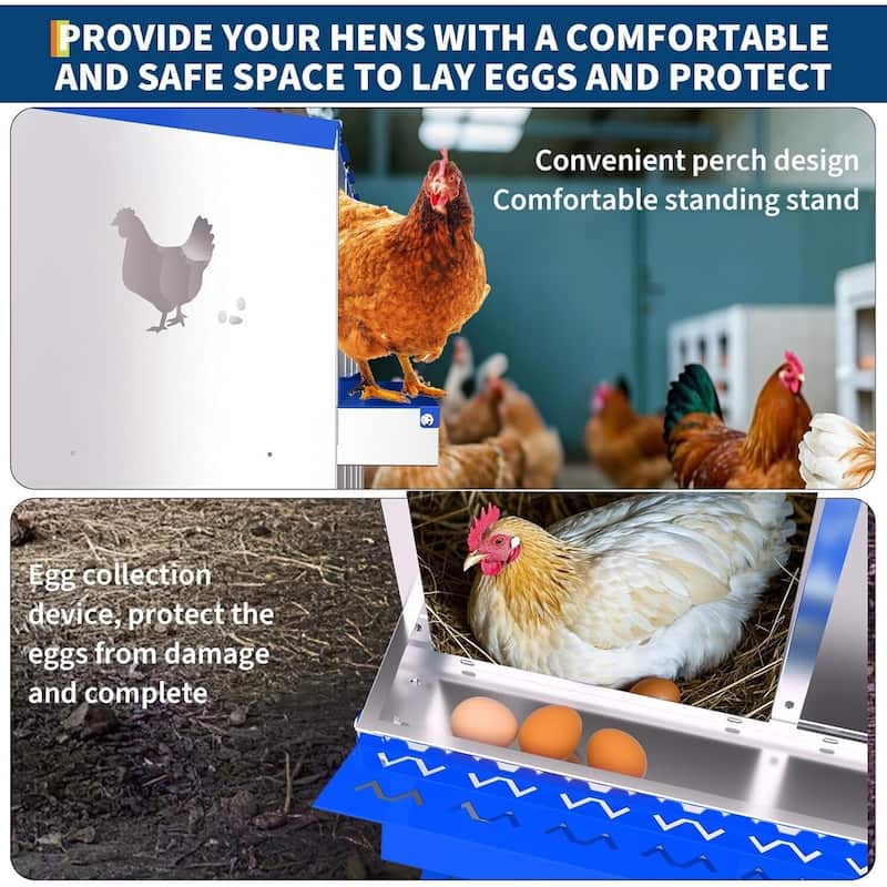 10 Compartment Metal Chicken Nesting Box, Laying Box for Hens Ducks Rabbits, Blue