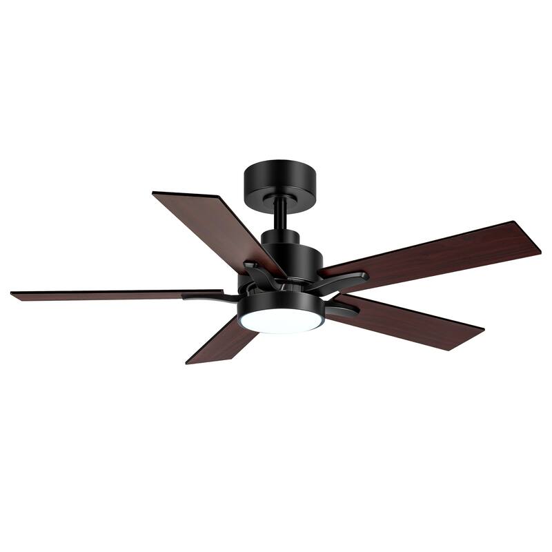 42" 5-Blade Black/White Modern LED Ceiling Fan with Light and Remote