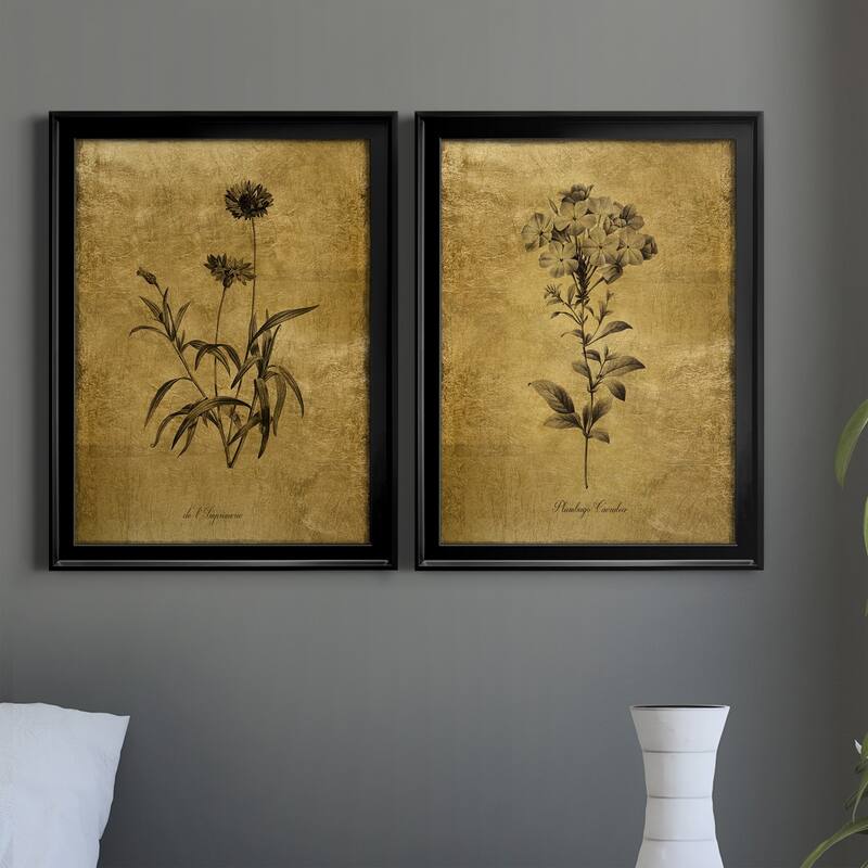 Gold Sketch Botanical I Premium Framed Print - Ready to Hang - Multi-Color
