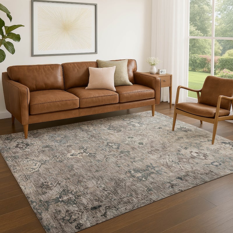 Machine Washable Indoor/ Outdoor Traditional Serenity Chantille Rug