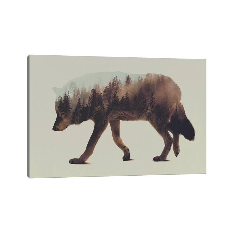 iCanvas "Wolf I" by Andreas Lie Canvas Print