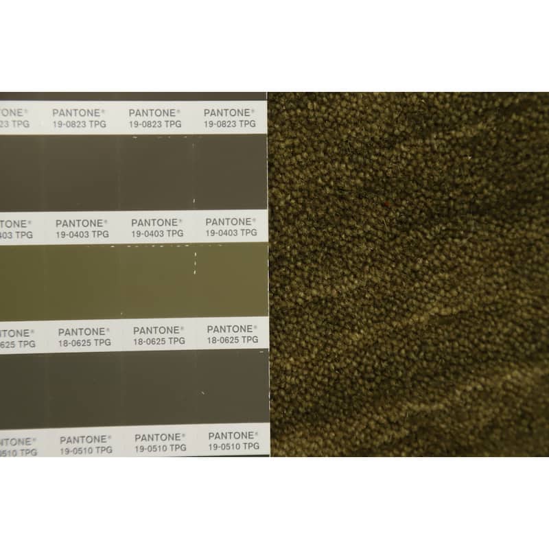 Hand Knotted Oriental 100% Wool Carpet Tribal Animal Pictorial Green Gabbeh Area Rug - 7' 8'' X 4' 11''