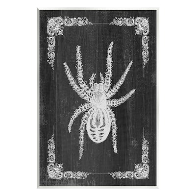 Stupell Black & White Spider Wall Plaque Art Design by Lil' Rue