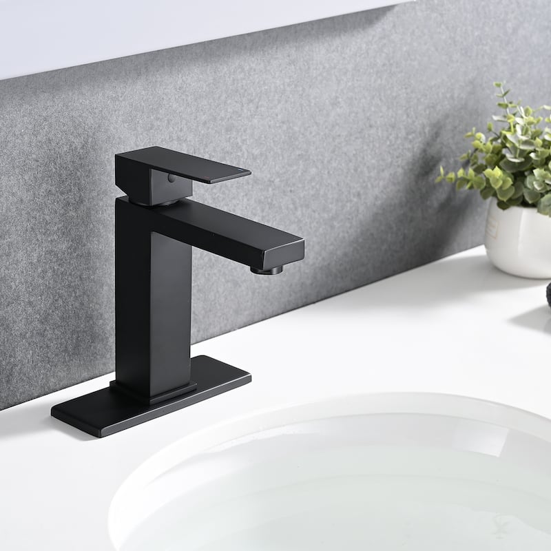 PROOX Single Bathroom Sink Faucet with Drain Assembly