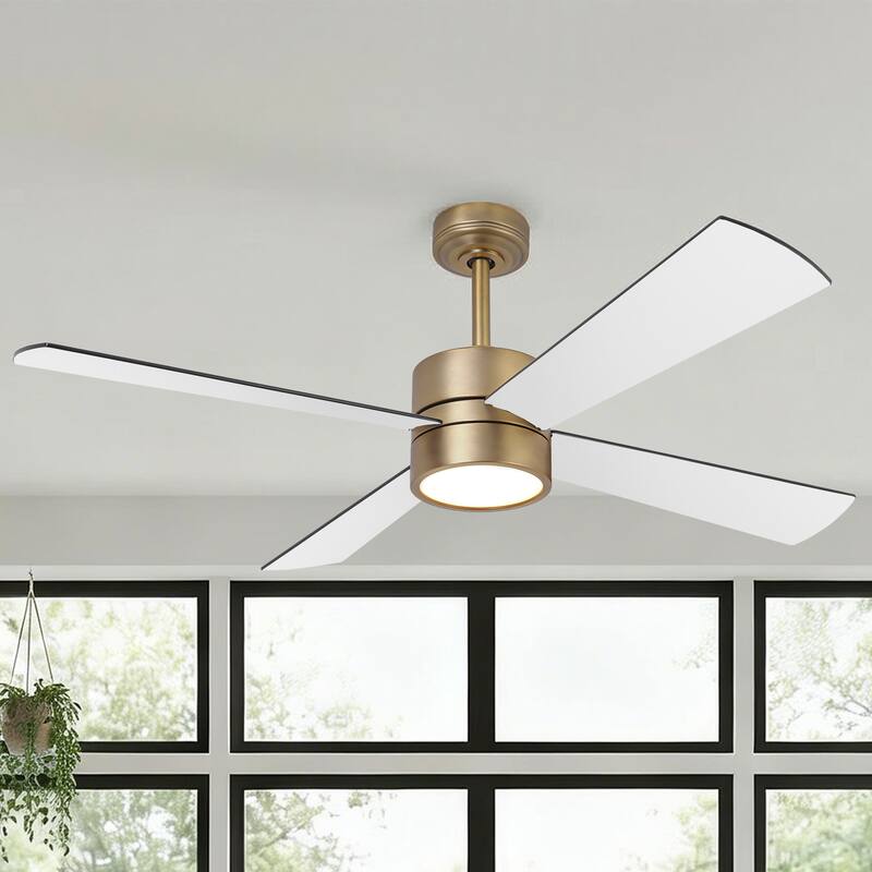 52" Modern Gold Integrated LED Dimmable Reversible Smart Ceiling Fan with RGB Light, Remote and APP Control