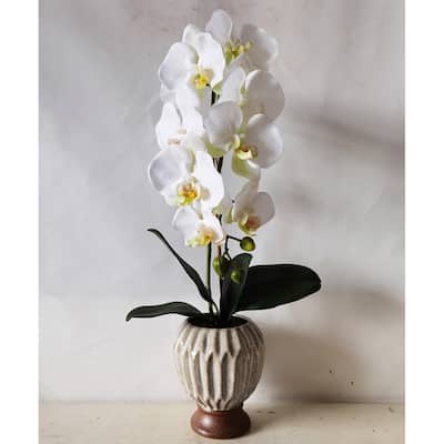 Cream White Artificial Phalaenopsis Orchid Flower Arrangement in Origami Ceramic Pot 24in - 24" H x 11" W x 10" DP