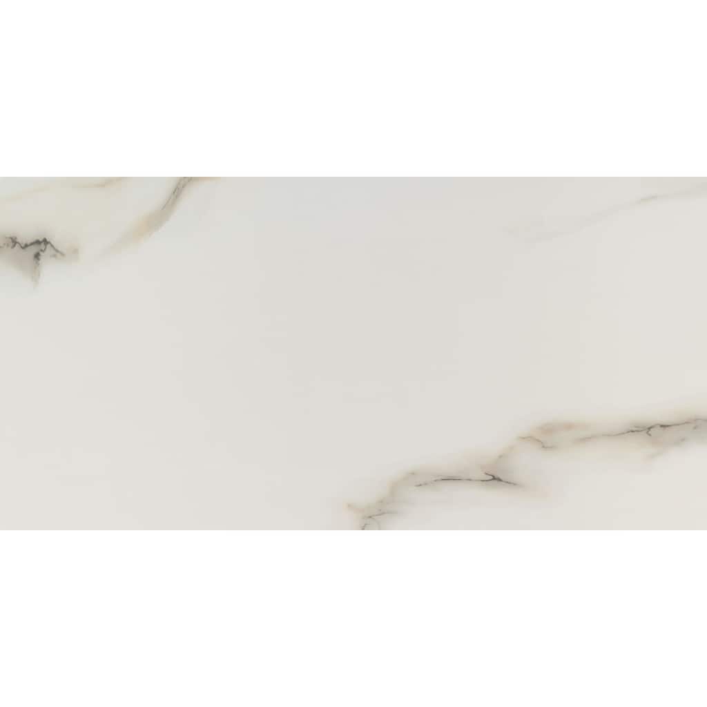 Ackland AKNPTAZI12X24P-PL Azira - 12" x 24" Porcelain Solid Floor Tile