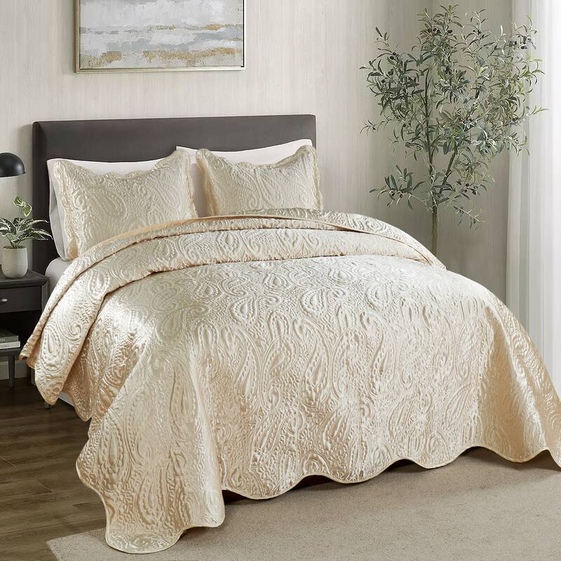 3-Piece Paisley Design Lightweight Bedding Set