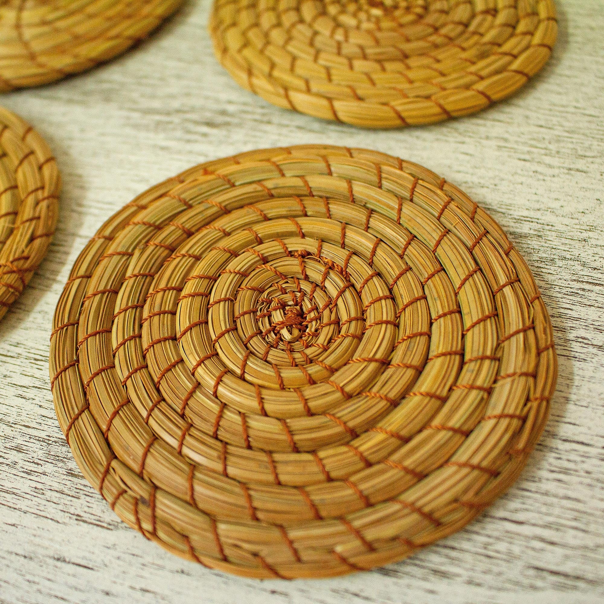 Novica Handmade Forest Cheer Pine Needles Coasters (Set Of 4) Bed