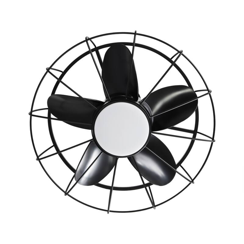 20" Industrial Black Wet Outdoor Caged Ceiling Fan with Light and Remote