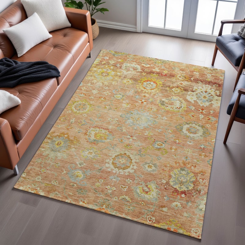 Premium Washable Super Soft Traditional Vintage Mayfield Rug