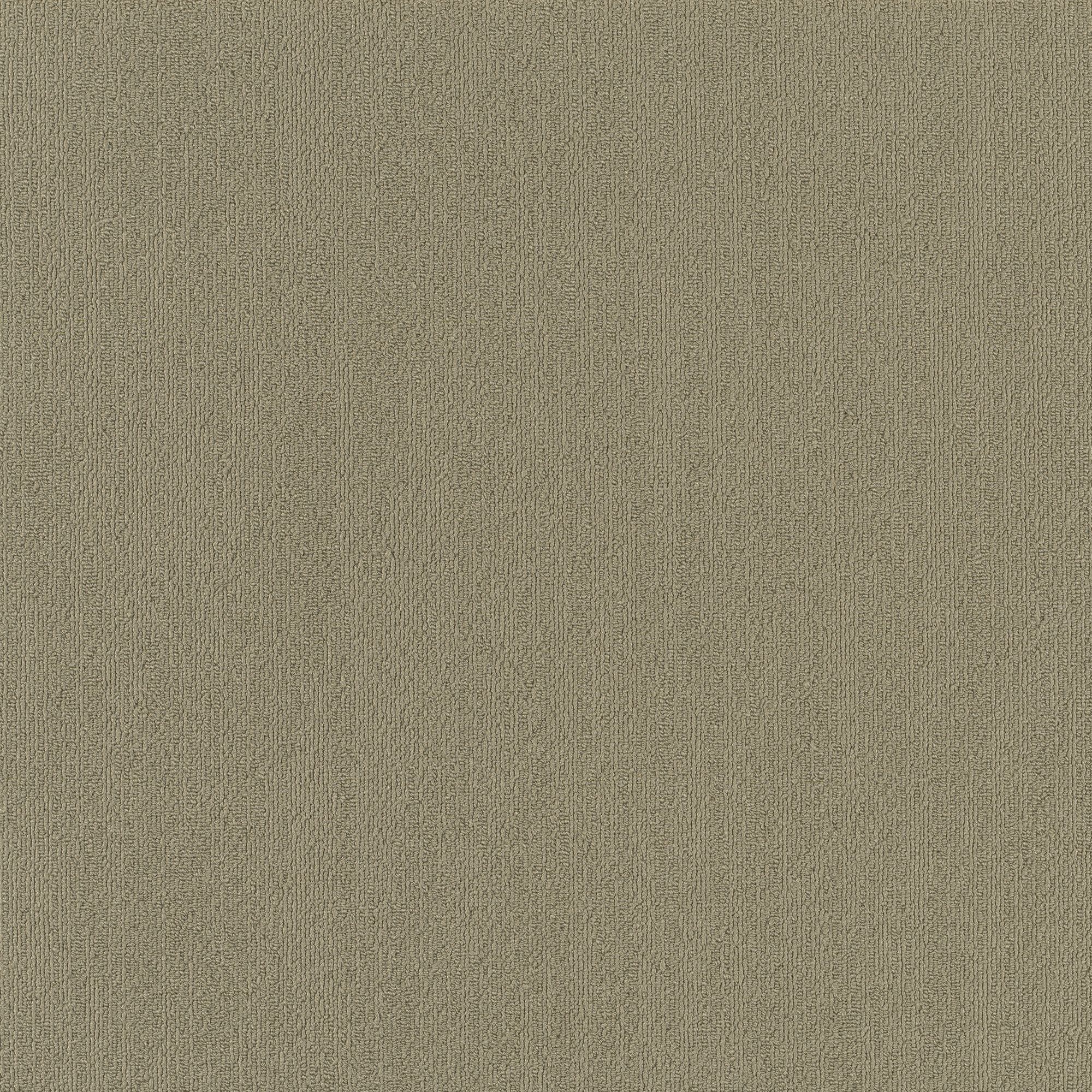 Shaw Philadelphia Commercial Color Accents TL 24" x 24" Glue Down