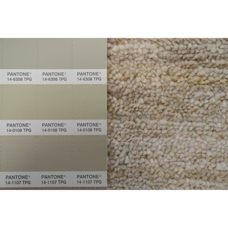 Hand Knotted Oriental Viscose Silk Carpet Tribal Animal Pictorial Beige & Ivories Gabbeh Area Rug - 11' 8'' X 8' 10''