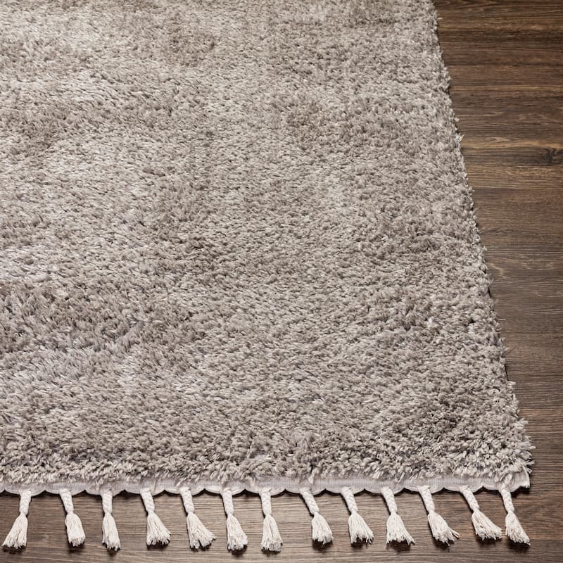 Artistic Weavers Breda Solid Boho Area Rug