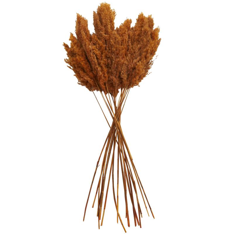 Dried Plant Pampas Grass Home Decor Natural Foliage with Long Stems - Orange - Roche River Decor