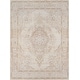 preview thumbnail 17 of 26, Momeni Isabella Vintage Traditional Medallion Area Rug 2' x 3' - Ivory