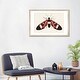 preview thumbnail 15 of 18, iCanvas "Red Butterfly" by Ana Martinez