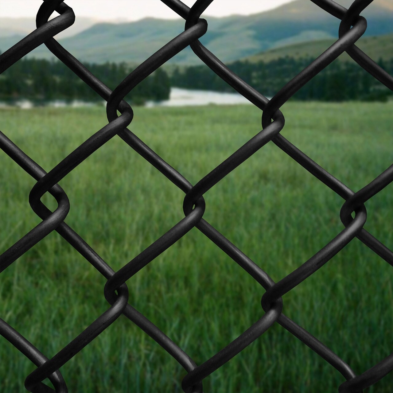 Aleko Galvanized Steel Chain Link Fence Kit 7 Gauge in Black | Size: 6 x 50 Feet