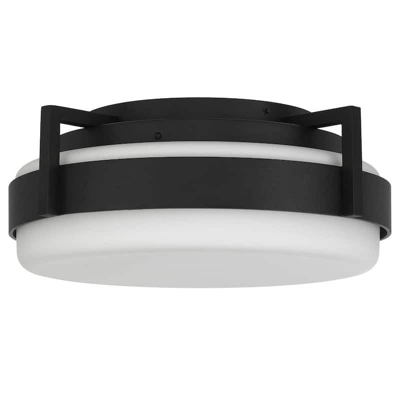 15 Inch Flush Mount LED Ceiling Light Dimmable 5 Color Temperatures Etched Glass - Black