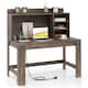 Option Oak