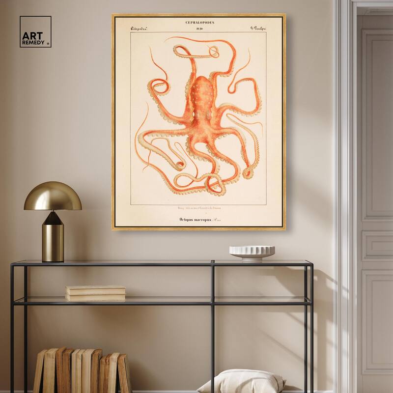 Verany The Octopus 1815 I Canvas by Art Remedy