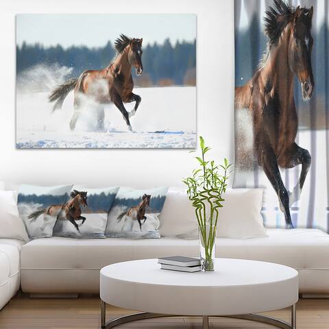Horse Running in Winter - Landscape Photo Canvas Print