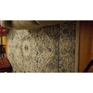 Safavieh Evoke Annabel Vintage Shabby Chic Oriental Rug