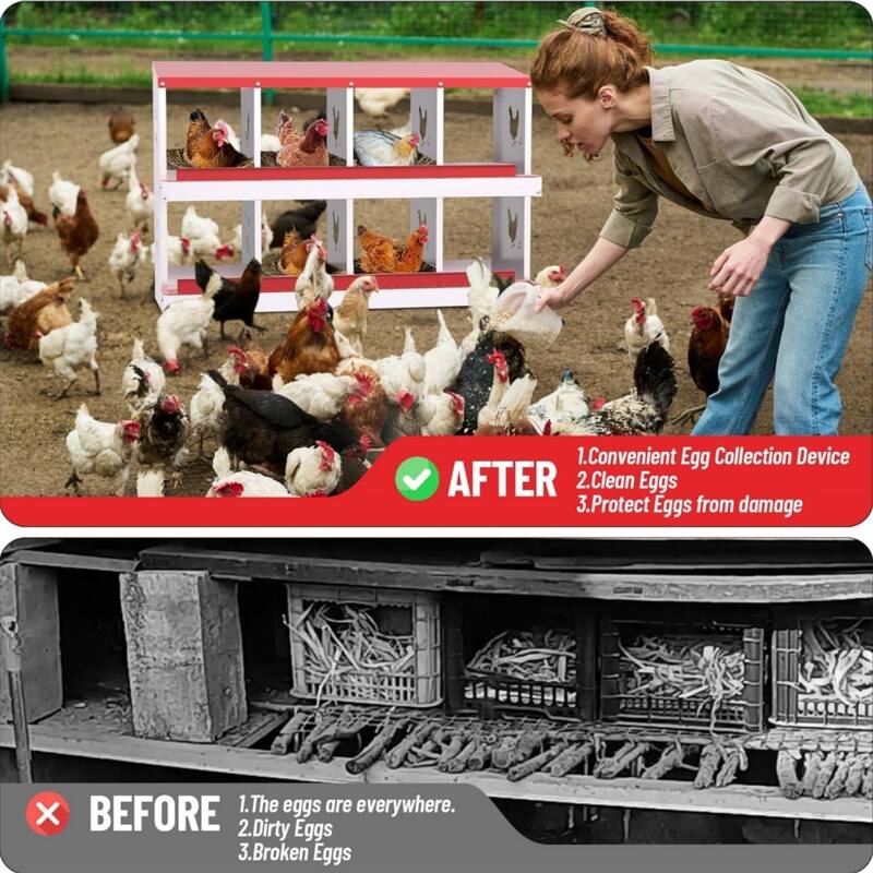 Chicken Nesting Box Nesting Boxes